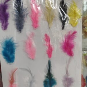 feather pcs