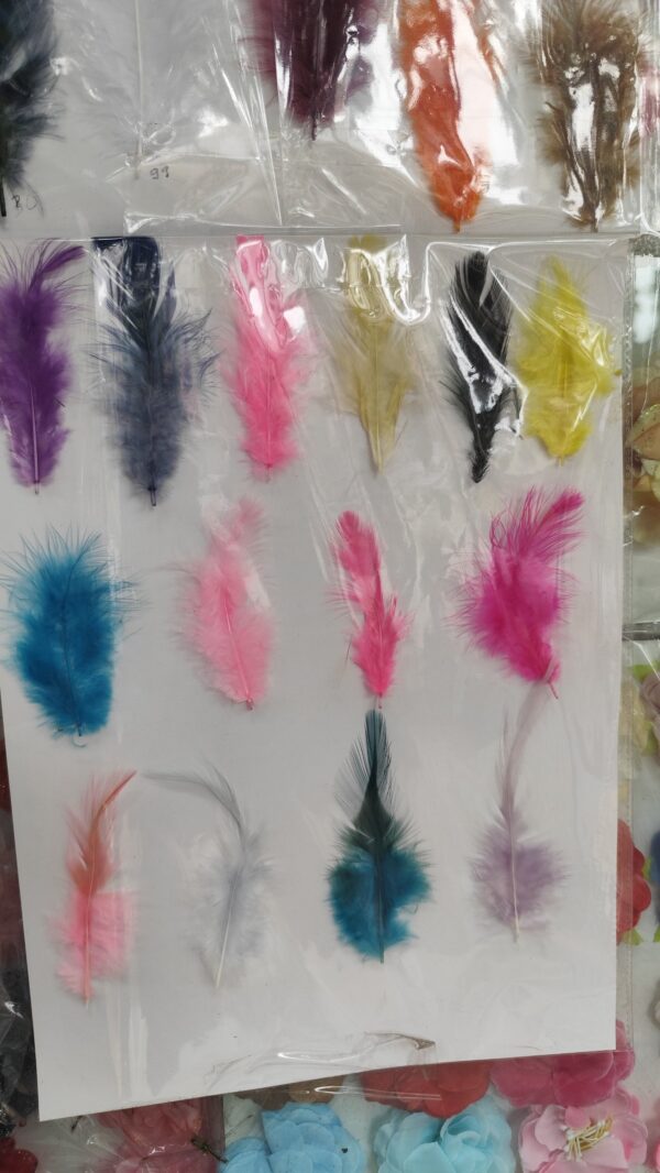 feather pcs